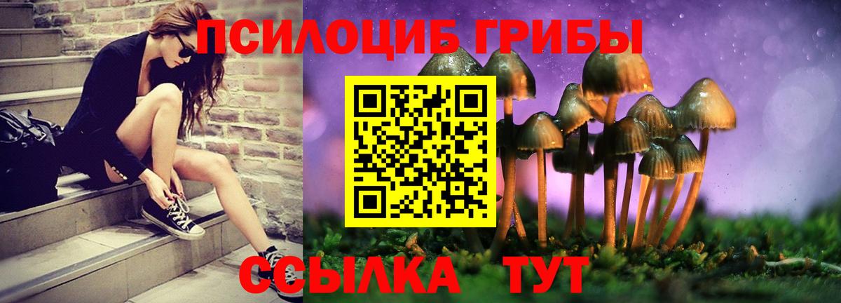 Псилоцибиновые грибы Cubensis Лянтор